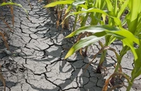Fenomenele meteo extreme pot avea un impact de 5% asupra PIB-ului zonei euro în următorii 5 ani
