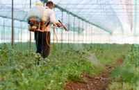 Cantitatea de pesticide ilegale utilizată de europeni a crescut și sunt otrăvite legumele, deși poliția a confiscat 2.040 de tone în 2022