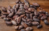Raritatea pudrei de cacao, noua problemă a cicolatierilor, după criza untului de cacao. Prețurile pudrei de cacao se apropie de maximul istoric
