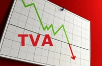 E-factura nu a rezolvat nici pe departe problema gap-ului de TVA, dar a creat o economie națională mai eficientă. Colectarea TVA a crescut doar cu 15% după implementarea e-factura