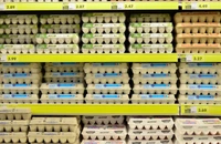 Cu cât s-au scumpit ouăle la poarta fermei. Grupul Agroland a vândut în T2 17,9 milioane de ouă de consum, cu 17% în plus față de 2024