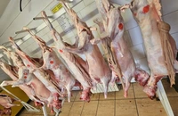 Sănătatea publică și siguranța alimentară sunt priorități strategice ale ANSVSA și nu există loc pentru compromisuri – Alexandru Bociu, președinte ANSVSA