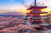 Tinerii români au dat buzna în Japonia pentru cireșii înfloriți- Studiu Revolut