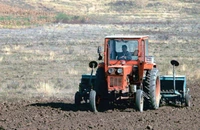 Guvernul schimbă regulile în privința salariului minim din agricultură. Ce se va întâmpla începând cu 1 iulie
