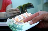 Primul tur al alegerilor prezidențiale și devalorizarea leului au reorientat economiile populației și firmelor din lei către euro