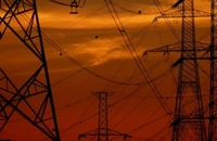 Danemarca va stabili o ordine de prioritate privind accesul la rețeaua electrică, care e depășită de cereri. Pe ultimul loc vor intra centrele de date