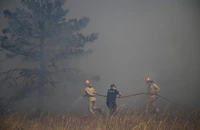 Patru state au activat în ultima săptămână mecanismul de protecţie civilă al UE, pentru a primi asistență în lupta cu incendiile de pădure