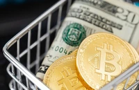 Cine câștigă bătălia bitcoin? SUA își fac rezervă strategică de criptomonede, UE mai mult reglementează și ezită să lanseze euro digital