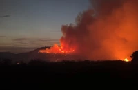Premierul spaniol propune un pact naţional pentru urgenţă climatică, după incendiile care au mistuit nord-vestul țării