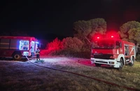 Pompierii români dislocați în Grecia au intervenit la stingerea incendiilor în zona localității Palaia Fokaia, în condiții foarte dificile