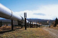 Livrările de petrol către Ungaria şi Slovacia via conducta Drujba au fost reluate