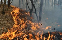 MAE, Atenţionare de călătorie: Italia – Cod portocaliu şi galben de incendii de vegetaţie pentru regiunile Sardegna şi Sicilia