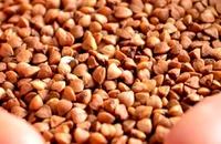 Banca de Resurse Genetice Vegetale: România are nevoie de o strategie naţională de producere a seminţelor