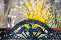 Proiectul privind taxe şi impozite locale mărite, supus dezbaterii publice pe site-ul PMB