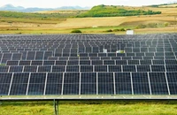 Terenurile agricole degradate din proprietatea statului pot fi folosite pentru producția de energie verde. S-a aprobat legea