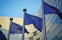 Contructorii auto din China critică vehement Actul privind Acceleratorul Industrial al UE, care ar urma să stimuleze producția de tehnologii nepoluante din blocul comunitar