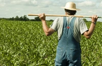 AAC: Suspendarea tarifelor vamale la îngrăşăminte este un pas necesar, dar insuficient. Pentru mulți fermieri europeni acest sprijin vine prea târziu