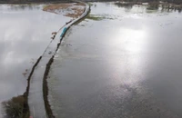 INHGA: Cod galben de inundaţii în 10 bazine hidrografice şi pe râurile din Dobrogea, până luni la prânz