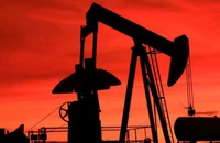 Producţia de ţiţei a României a scăzut cu 8,3%, în primul trimestru din 2026; importurile s-au redus cu 30,6%