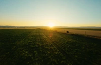 Gigantul PepsiCo schimbă modul în care fermierii români vor putea produce cartofii pentru Lay’s