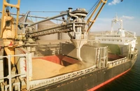 Rusia se pregăteşte să îşi redirecţioneze exporturile de cereale către Marea Neagră şi Baltică