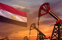 Egiptul începe privatizarea sectorului petrolier prin ieşirea pe bursă a trei companii