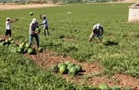 Criză pe piața forței de muncă din Grecia. Angajații străini părăsesc țara în număr mare