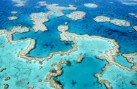 UNESCO își exprimă îngrijorarea absolută cu privire la starea Marii Bariere de Corali din Australia, dar nu introduce reciful pe lista „patrimoniului mondial în pericol”
