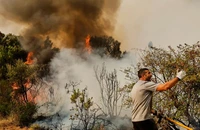 Incendii Grecia – Doi morţi, nouă răniţi şi sute de oameni evacuaţi pe insula Salamina