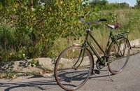 Brandul britanic Raleigh, cel mai mare producător de biciclete din lume, a intrat în insolvență