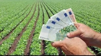 Mulți fermieri riscă să dea înapoi banii europeni luați pentru dezvoltare. Din cauza scumpirii materialelor de construcție nu își pot finaliza proiectele
