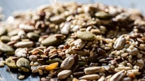 Compania Golden Foods Snacks începe din iunie exportul de alune și semințe Elmas pe piața poloneză