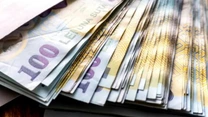 Ministerul Muncii ar fi retras din CES proiectul de Ordonanţă de aplicare a Legii privind salarizarea bugetarilor – Zelca, SNPPC