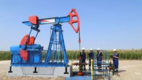 Percheziţii la sediul companiei NIS Petrol, controlată de Gazprom – Anchetatorii ar cerceta transmiterea ilegală de date – surse. Compania descoperise petrol în vestul României