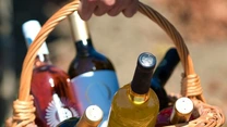 Schimbările climatice modifică geografia vinului. Viitorul ar putea aparține vinurilor englezești? – studiu revista Nature