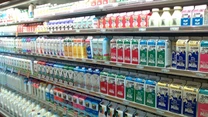 Piața lactatelor își revine cu materie primă de import. Cantitățile cumpărate de procesatori au crescut cu 34% în primele două luni