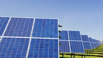 Electrica își caută diriginte de șantier pentru un parc fotovoltaic în Satu Mare