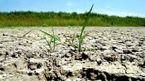 Starea de vegetaţie a culturilor de toamnă înfiinţate în perioada optimă se va prezenta în continuare bună şi medie