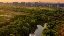 Asociația Parcul Național Văcărești schimbă strategia din cauza modificării climei din ultimii ani