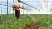Cantitatea de pesticide ilegale utilizată de europeni a crescut și sunt otrăvite legumele, deși poliția a confiscat 2.040 de tone în 2022
