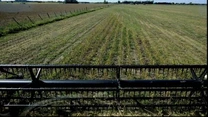 Semne îngrijorătoare pentru securitatea alimentară a României. Fermierii au plantat în primăvară cu 27% mai puțin teren
