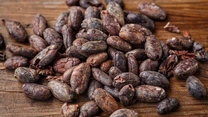 Raritatea pudrei de cacao, noua problemă a cicolatierilor, după criza untului de cacao. Prețurile pudrei de cacao se apropie de maximul istoric
