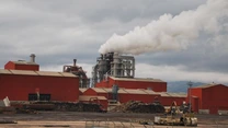Kronospan are undă verde de la Consiliul Concurenţei pentru preluarea  ZG Timber Sebes SRL