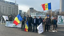 Sindicaliștii din silvicultură îi transmit ministrului Mediului, Diana Buzoianu, că reorganizarea Romsilva nu se poate face unilateral, fără consultarea tuturor actorilor implicați