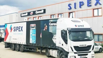 Distribuitorul de materile de construcții SIPEX începe cu pierderi anul 2025