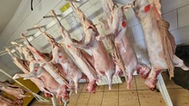 Sănătatea publică și siguranța alimentară sunt priorități strategice ale ANSVSA și nu există loc pentru compromisuri – Alexandru Bociu, președinte ANSVSA
