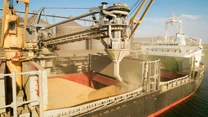 UE a avut un excedent de 39,2 miliarde de euro în comerţul cu produse agricole, în 2024
