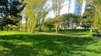 Anunţ pentru bucureşteni. Un cunoscut parc din Capitală se pregăteşte de modernizare: turn de belvedere, un vagon de metrou, locuri de joacă, terenuri de sport şi zonă de hamace