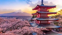Tinerii români au dat buzna în Japonia pentru cireșii înfloriți – Studiu Revolut