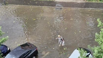 Cod roşu de furtună în localităţi din judeţele Hunedoara şi Cluj, duminică după-amiaza